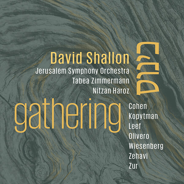 David Shallon - Gathering